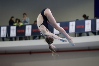 Thumbnail - 2019 - Alpe Adria Trieste - Diving Sports 03038_08846.jpg