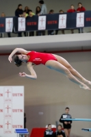 Thumbnail - Girls A - Alissa Clari - Diving Sports - 2019 - Alpe Adria Trieste - Participants - Italy - Girls 03038_08858.jpg