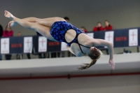 Thumbnail - 2019 - Alpe Adria Trieste - Diving Sports 03038_08926.jpg