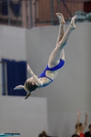 Thumbnail - 2019 - Alpe Adria Trieste - Diving Sports 03038_08938.jpg