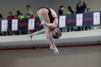 Thumbnail - 2019 - Alpe Adria Trieste - Diving Sports 03038_09085.jpg