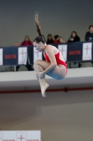 Thumbnail - 2019 - Alpe Adria Trieste - Diving Sports 03038_09187.jpg