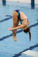 Thumbnail - Girls B - Dora Tomljenovic - Plongeon - 2019 - Alpe Adria Trieste - Participants - Croatia - Girls 03038_09316.jpg