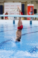 Thumbnail - Boys D - Lorenzo - Plongeon - 2019 - Alpe Adria Trieste - Participants - Italy - Boys 03038_10381.jpg