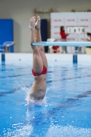 Thumbnail - Boys D - Carlo - Diving Sports - 2019 - Alpe Adria Trieste - Participants - Italy - Boys 03038_10395.jpg