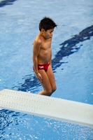 Thumbnail - Boys D - Lorenzo - Plongeon - 2019 - Alpe Adria Trieste - Participants - Italy - Boys 03038_10542.jpg