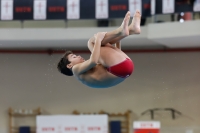 Thumbnail - Boys D - Carlo - Diving Sports - 2019 - Alpe Adria Trieste - Participants - Italy - Boys 03038_10560.jpg