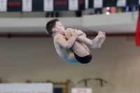 Thumbnail - Boys D - Gino - Прыжки в воду - 2019 - Alpe Adria Trieste - Participants - Croatia - Boys 03038_10723.jpg