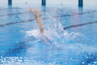 Thumbnail - Boys D - Gino - Diving Sports - 2019 - Alpe Adria Trieste - Participants - Croatia - Boys 03038_10731.jpg