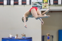 Thumbnail - Boys E - Alessandro - Diving Sports - 2019 - Alpe Adria Trieste - Participants - Italy - Boys 03038_12779.jpg