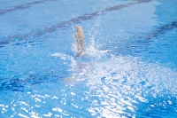 Thumbnail - Boys E - Alessandro - Diving Sports - 2019 - Alpe Adria Trieste - Participants - Italy - Boys 03038_12783.jpg