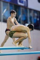 Thumbnail - Boys D - Carlo - Прыжки в воду - 2019 - Alpe Adria Trieste - Participants - Italy - Boys 03038_14089.jpg