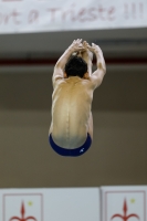 Thumbnail - Boys C - Nicola - Diving Sports - 2019 - Alpe Adria Trieste - Participants - Italy - Boys 03038_14613.jpg