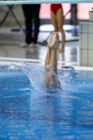 Thumbnail - Girls C - Vanja - Прыжки в воду - 2019 - Alpe Adria Trieste - Participants - Croatia - Girls 03038_16358.jpg