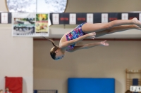 Thumbnail - Girls C - Vanja - Diving Sports - 2019 - Alpe Adria Trieste - Participants - Croatia - Girls 03038_16367.jpg