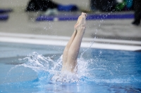 Thumbnail - Girls C - Hana - Plongeon - 2019 - Alpe Adria Trieste - Participants - Croatia - Girls 03038_16423.jpg