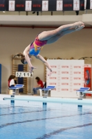 Thumbnail - Girls C - Hana - Wasserspringen - 2019 - Alpe Adria Trieste - Teilnehmer - Kroatien - Girls 03038_16433.jpg