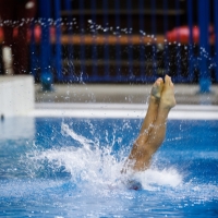 Thumbnail - Boys D - Lorenzo - Прыжки в воду - 2019 - Alpe Adria Trieste - Participants - Italy - Boys 03038_17748.jpg