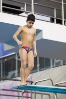 Thumbnail - Boys D - Carlo - Прыжки в воду - 2019 - Alpe Adria Trieste - Participants - Italy - Boys 03038_17800.jpg