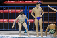 Thumbnail - Boys D - Mario - Diving Sports - 2019 - Alpe Adria Trieste - Participants - Croatia - Boys 03038_17939.jpg