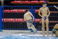 Thumbnail - Boys D - Mario - Diving Sports - 2019 - Alpe Adria Trieste - Participants - Croatia - Boys 03038_17940.jpg