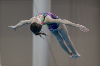 Thumbnail - Girls D - Ria - Diving Sports - 2019 - Alpe Adria Trieste - Participants - Croatia - Girls 03038_18299.jpg