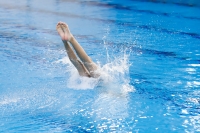 Thumbnail - Girls D - Ria - Diving Sports - 2019 - Alpe Adria Trieste - Participants - Croatia - Girls 03038_18318.jpg