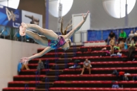 Thumbnail - Girls D - Ria - Прыжки в воду - 2019 - Alpe Adria Trieste - Participants - Croatia - Girls 03038_18995.jpg
