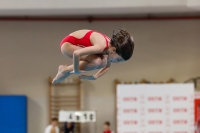 Thumbnail - Girls D - Alice V - Diving Sports - 2019 - Alpe Adria Trieste - Participants - Italy - Girls 03038_19220.jpg