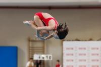 Thumbnail - Girls D - Alice V - Diving Sports - 2019 - Alpe Adria Trieste - Participants - Italy - Girls 03038_19221.jpg