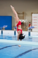 Thumbnail - Girls D - Alice V - Diving Sports - 2019 - Alpe Adria Trieste - Participants - Italy - Girls 03038_19223.jpg