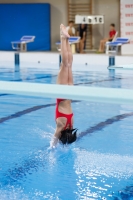 Thumbnail - Girls D - Alice V - Diving Sports - 2019 - Alpe Adria Trieste - Participants - Italy - Girls 03038_19225.jpg