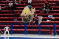 Thumbnail - Girls D - Nora - Diving Sports - 2019 - Alpe Adria Trieste - Participants - Austria 03038_19499.jpg