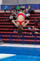 Thumbnail - Girls D - Alice V - Diving Sports - 2019 - Alpe Adria Trieste - Participants - Italy - Girls 03038_19659.jpg