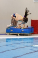 Thumbnail - Croatia - Girls - Прыжки в воду - 2019 - Alpe Adria Trieste - Participants 03038_19687.jpg