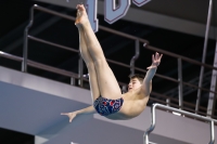 Thumbnail - Boys B - Anton - Diving Sports - 2019 - Alpe Adria Trieste - Participants - Austria 03038_19921.jpg