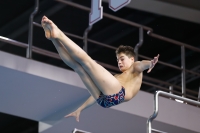 Thumbnail - Boys B - Anton - Plongeon - 2019 - Alpe Adria Trieste - Participants - Austria 03038_19922.jpg