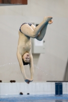 Thumbnail - Boys B - Anton - Diving Sports - 2019 - Alpe Adria Trieste - Participants - Austria 03038_20078.jpg