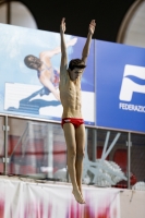 Thumbnail - Italy - Boys - Прыжки в воду - 2019 - Alpe Adria Trieste - Participants 03038_20693.jpg