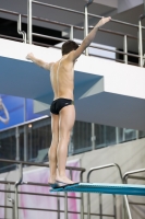 Thumbnail - Boys B - Luka - Diving Sports - 2019 - Alpe Adria Trieste - Participants - Croatia - Boys 03038_20839.jpg