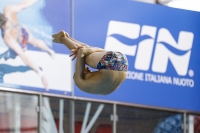 Thumbnail - Participants - Прыжки в воду - 2019 - Alpe Adria Trieste 03038_20936.jpg