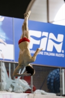 Thumbnail - Italy - Boys - Diving Sports - 2019 - Alpe Adria Trieste - Participants 03038_20996.jpg
