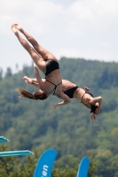 Thumbnail - Girls A und B Synchron - Diving Sports - 2021 - International Diving Meet Graz - Synchronized Diving 03041_03998.jpg