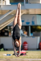 Thumbnail - Schweiz - Tuffi Sport - 2021 - International Diving Meet Graz - Participants 03041_07579.jpg