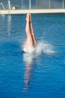 Thumbnail - Schweiz - Wasserspringen - 2021 - International Diving Meet Graz - Teilnehmer 03041_07891.jpg