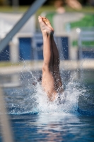 Thumbnail - Schweiz - Прыжки в воду - 2021 - International Diving Meet Graz - Participants 03041_09990.jpg