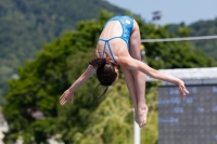 Thumbnail - Schweiz - Wasserspringen - 2021 - International Diving Meet Graz - Teilnehmer 03041_10806.jpg