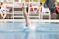 Thumbnail - Schweiz - Tuffi Sport - 2021 - International Diving Meet Graz - Participants 03041_11484.jpg