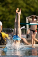 Thumbnail - Schweiz - Tuffi Sport - 2021 - International Diving Meet Graz - Participants 03041_13275.jpg