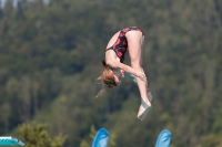 Thumbnail - Girls C - Tallulah - Wasserspringen - 2021 - International Diving Meet Graz - Teilnehmer - Schweiz 03041_14054.jpg